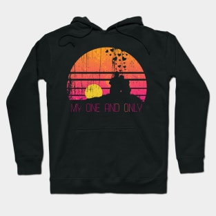 Funny valentines day cute design for couples My one and only Hoodie